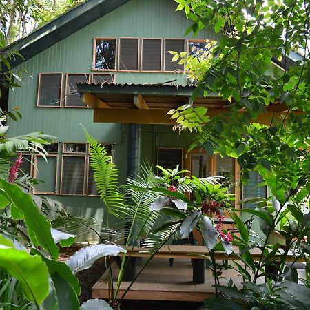 Rainforest Eco Lodge Suva Luaran gambar