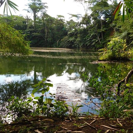 Rainforest Eco Lodge Suva Luaran gambar