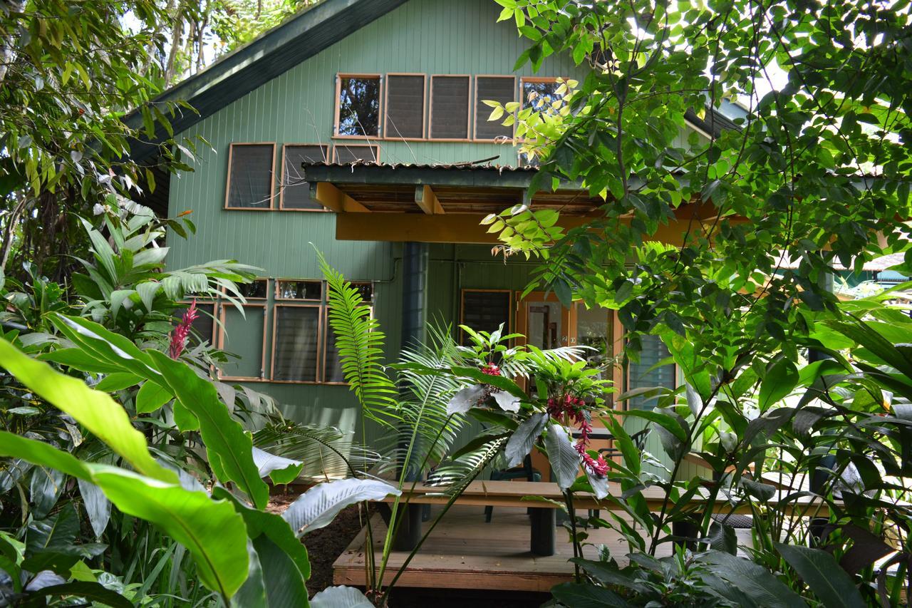 Rainforest Eco Lodge Suva Luaran gambar