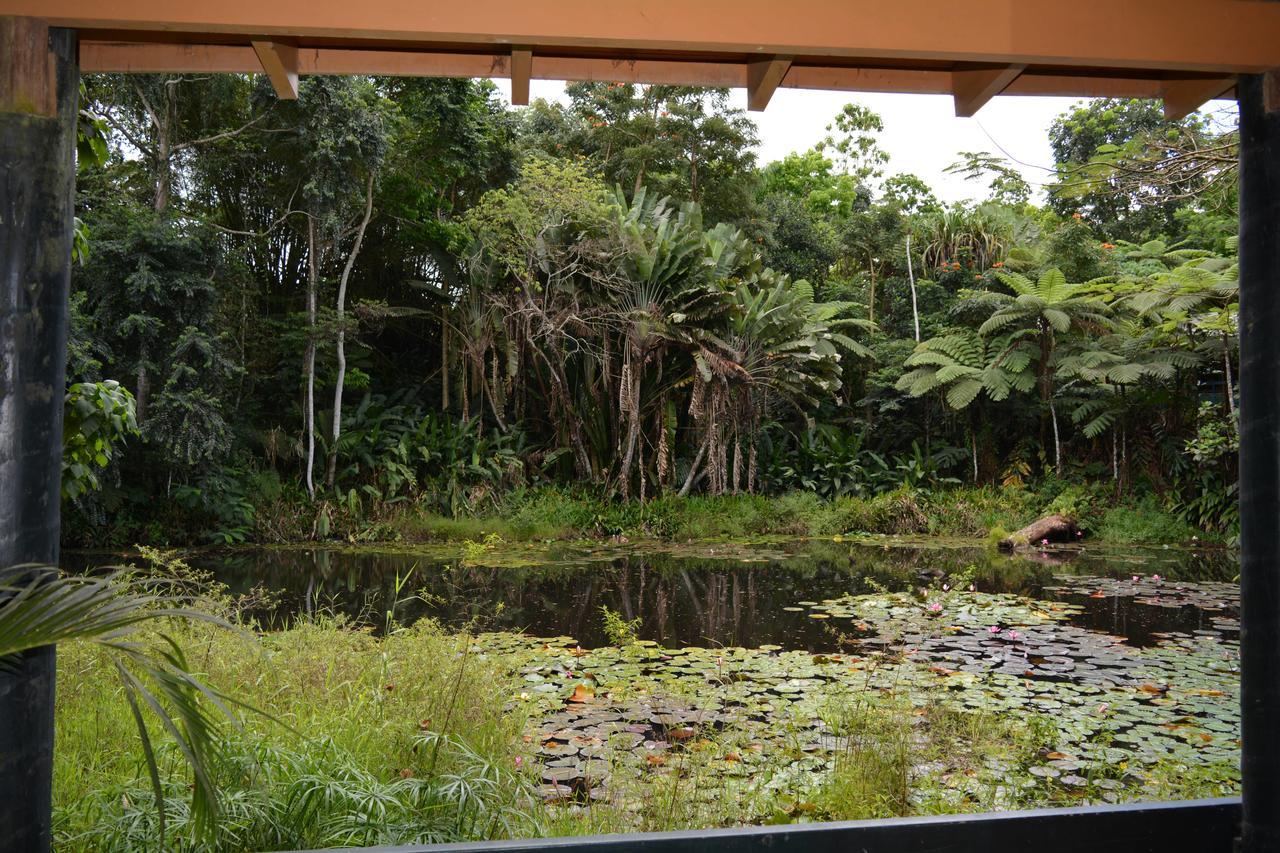 Rainforest Eco Lodge Suva Luaran gambar