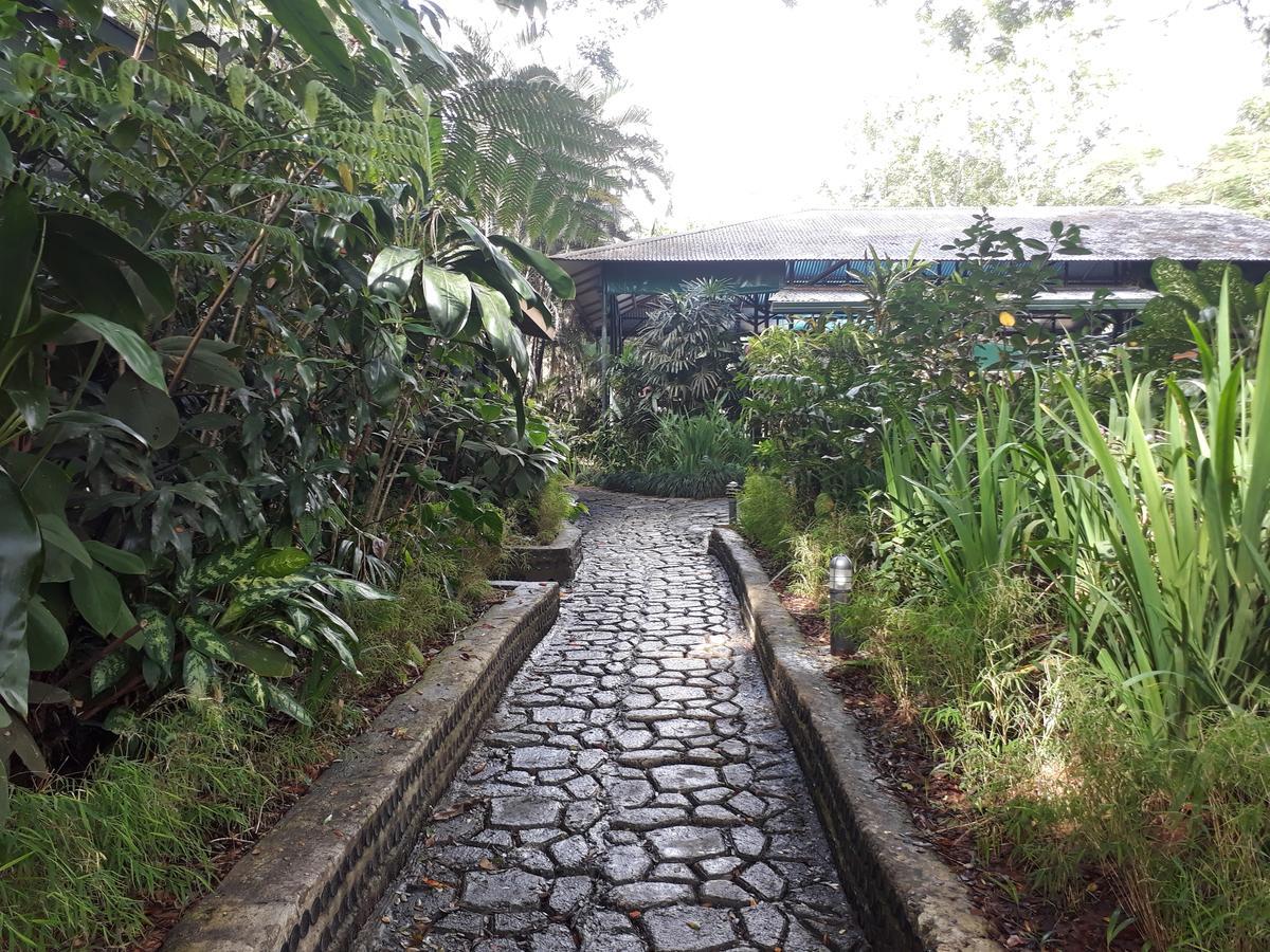 Rainforest Eco Lodge Suva Luaran gambar