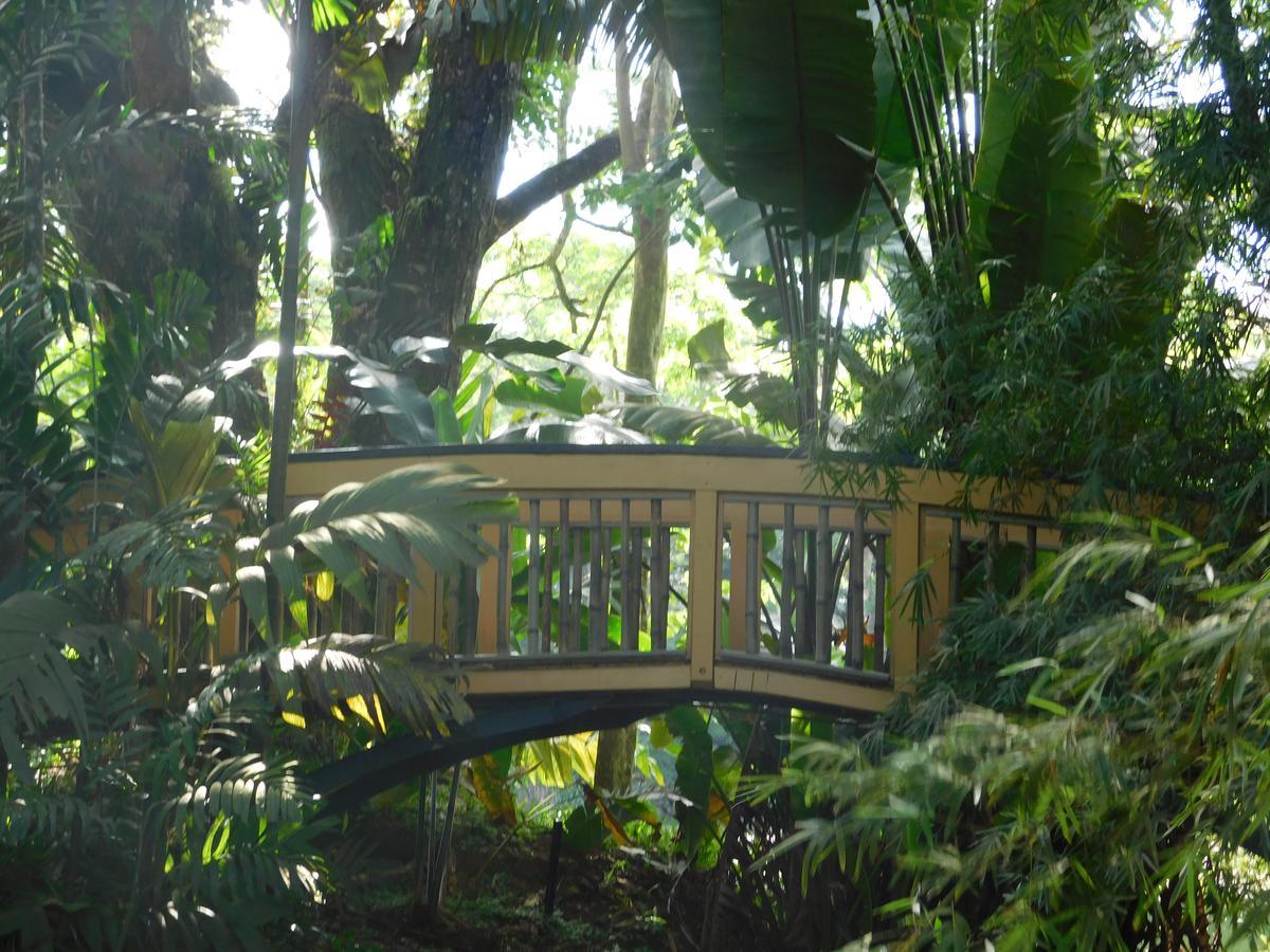 Rainforest Eco Lodge Suva Luaran gambar