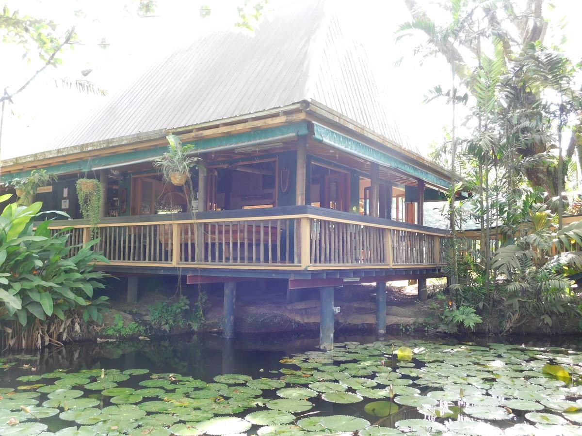 Rainforest Eco Lodge Suva Luaran gambar