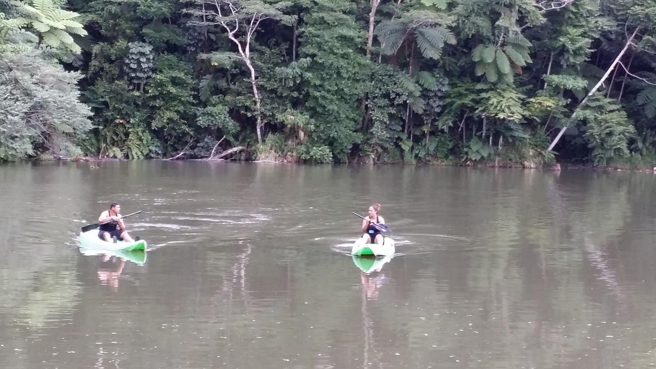 Rainforest Eco Lodge Suva Luaran gambar