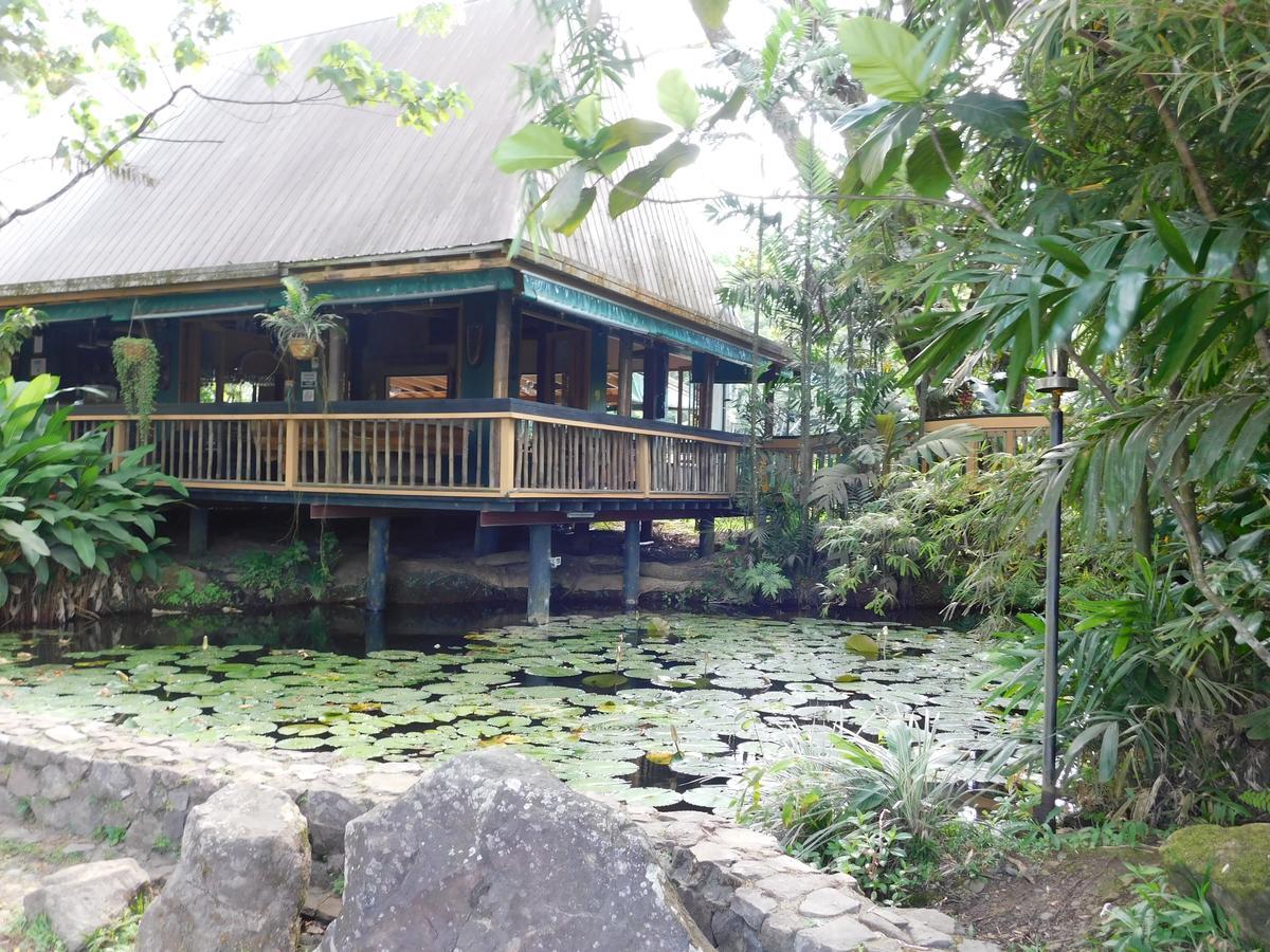 Rainforest Eco Lodge Suva Luaran gambar