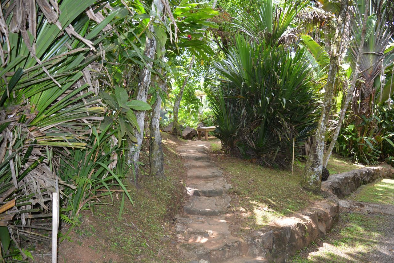 Rainforest Eco Lodge Suva Luaran gambar