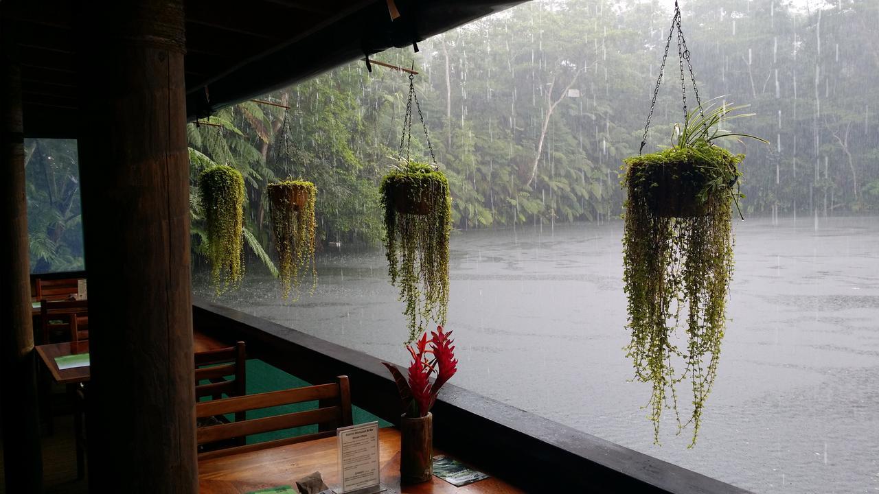 Rainforest Eco Lodge Suva Luaran gambar