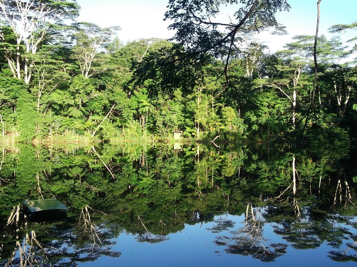 Rainforest Eco Lodge Suva Luaran gambar