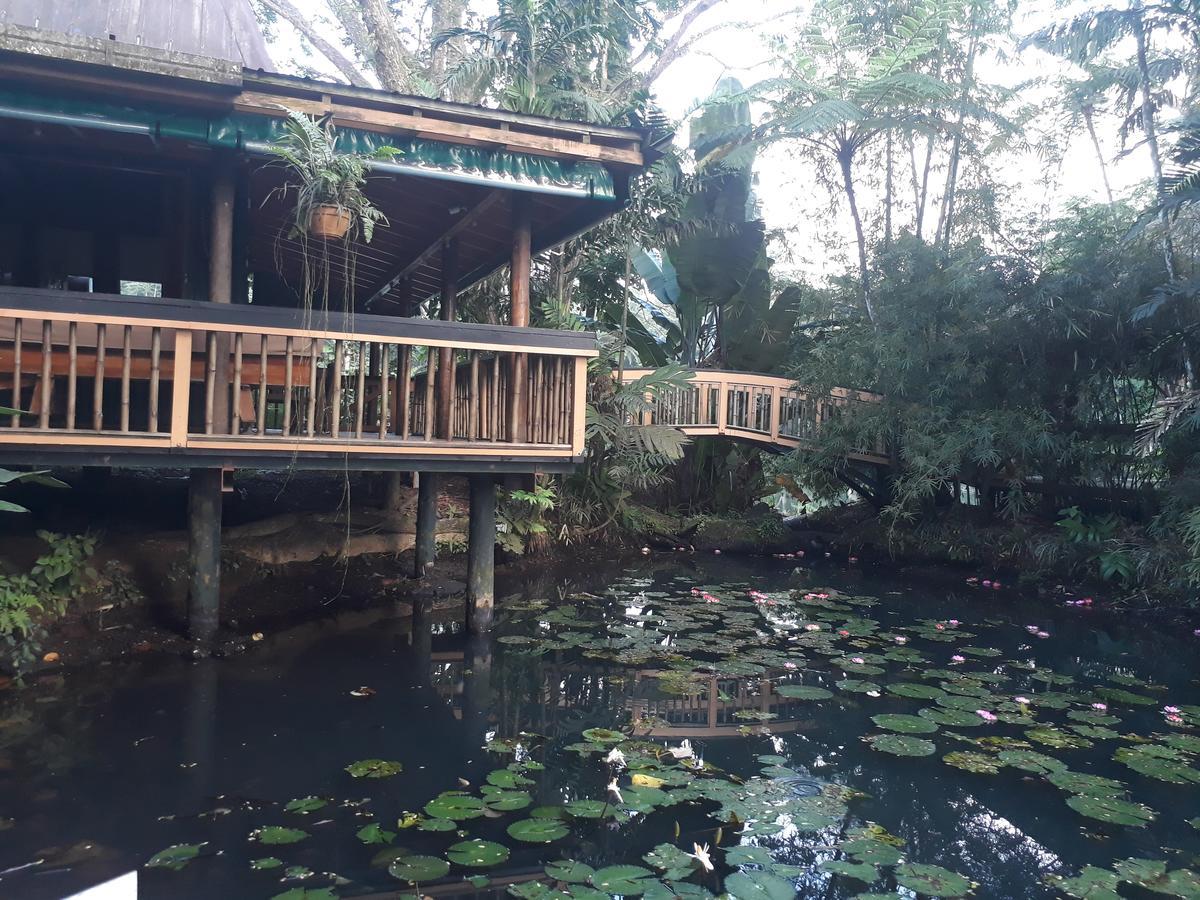 Rainforest Eco Lodge Suva Luaran gambar