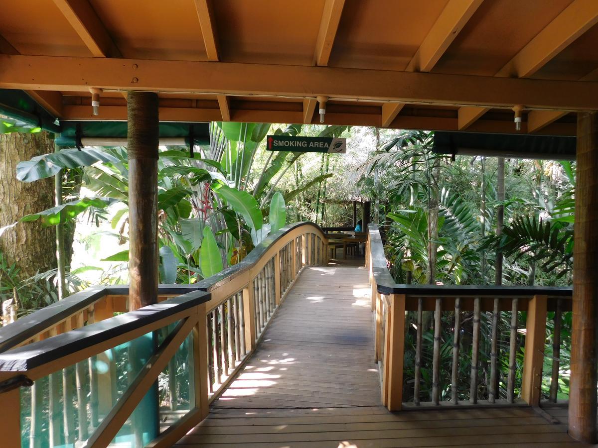 Rainforest Eco Lodge Suva Luaran gambar